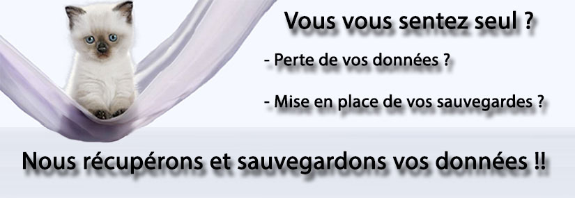 Vous vous sentez seul ? Perte de vos données ? Mise en place de vos sauvegardes ? Nous récupérons et sauvegardons vos données!!